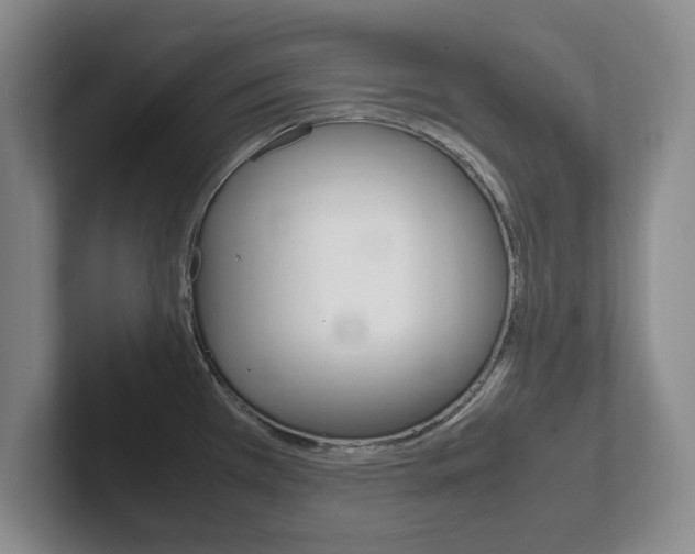 X0000102271385200807250849