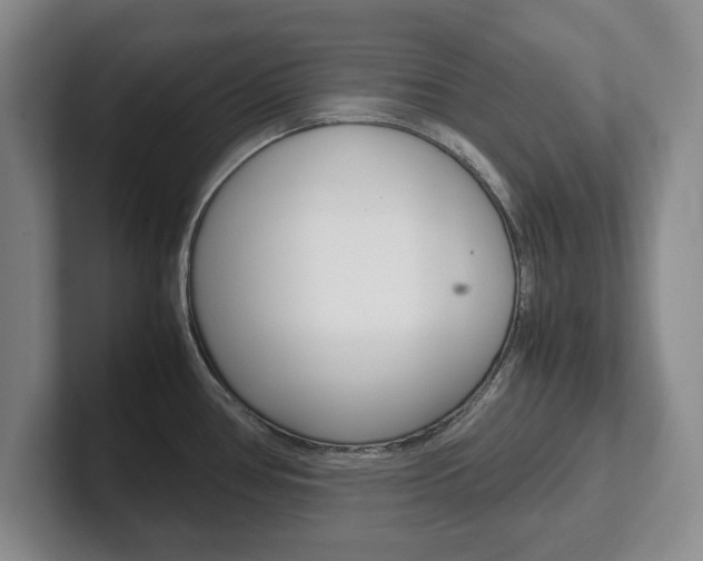 X0000102271386200807250849