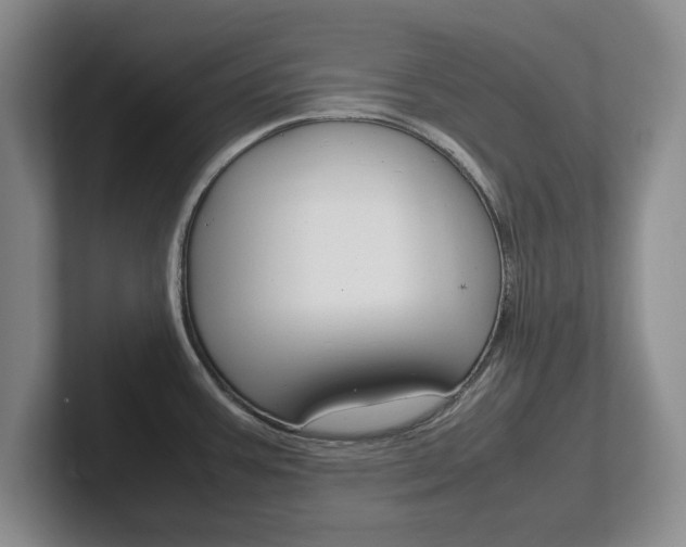 X0000102271387200807250849