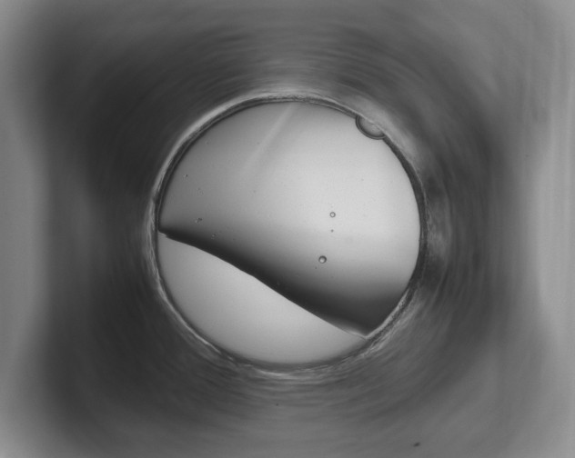 X0000102271388200807250849