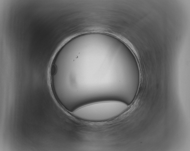 X0000102271389200807250849