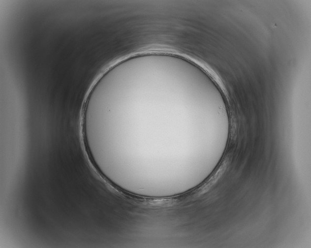 X0000102271390200807250849