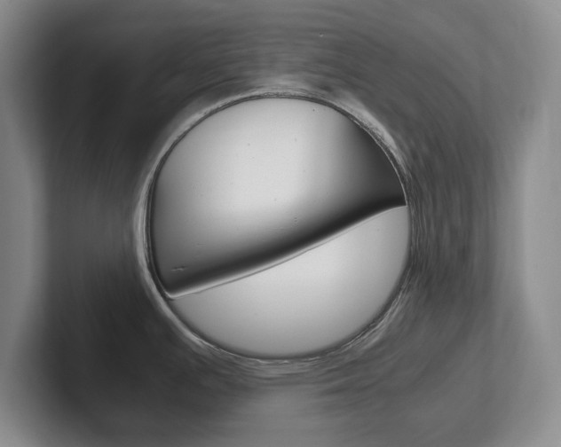 X0000102271391200807250849