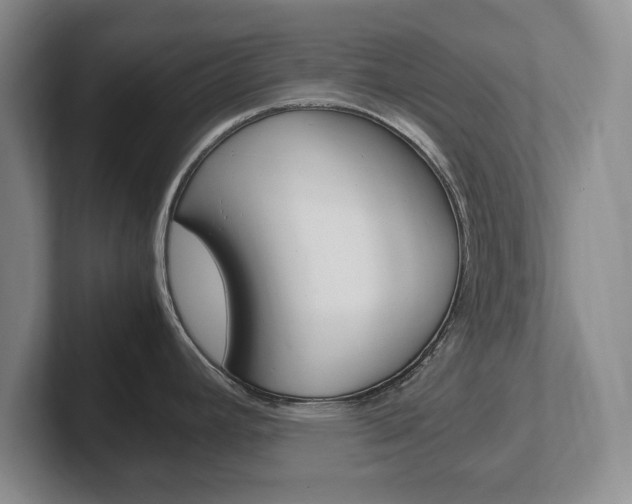 X0000102271392200807250849