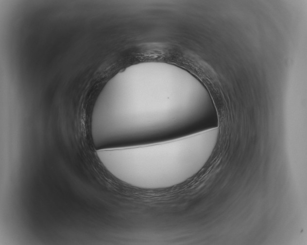 X0000102271394200807250848
