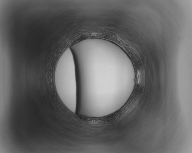 X0000102271395200807250848