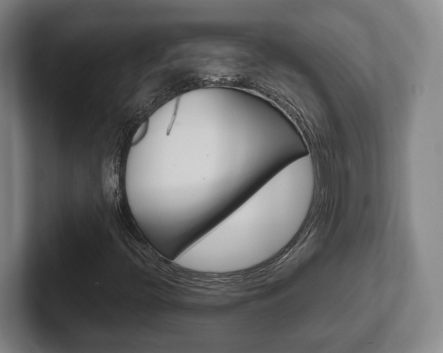 X0000102271396200807250848
