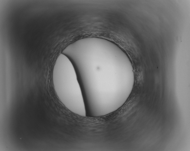 X0000102271397200807250848