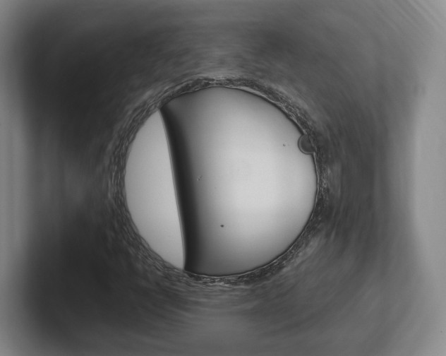 X0000102271398200807250848