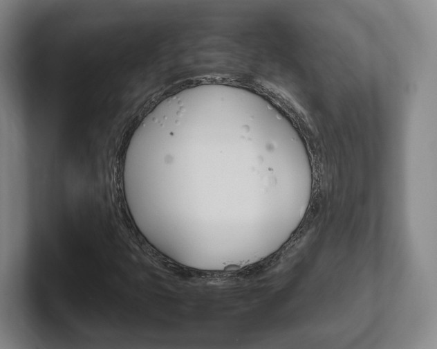 X0000102271399200807250848