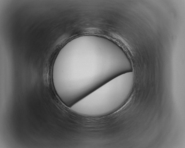 X0000102271403200807250848