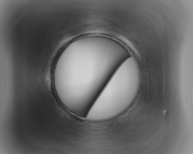 X0000102271408200807250848
