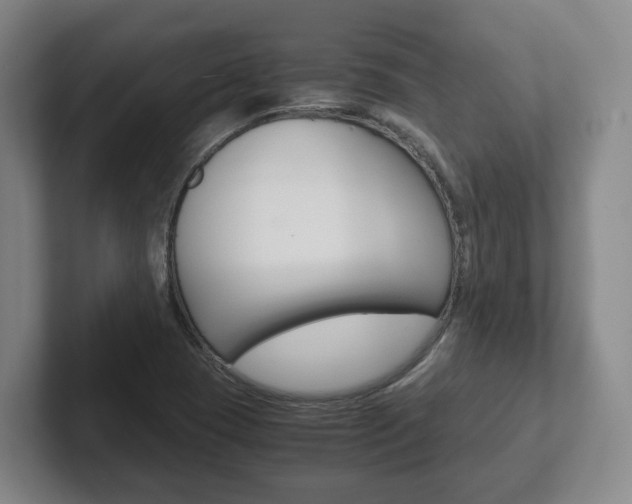 X0000102271409200807250848