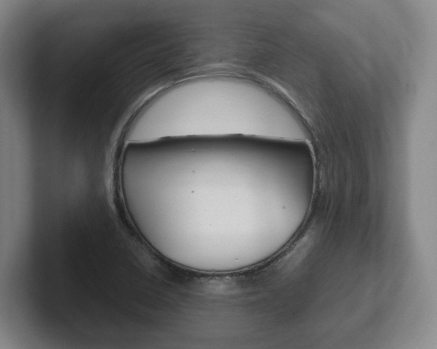 X0000102271410200807250848