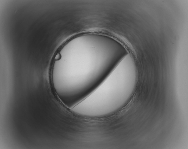 X0000102271412200807250848