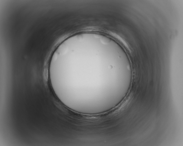 X0000102271413200807250848