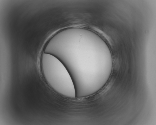 X0000102271415200807250849
