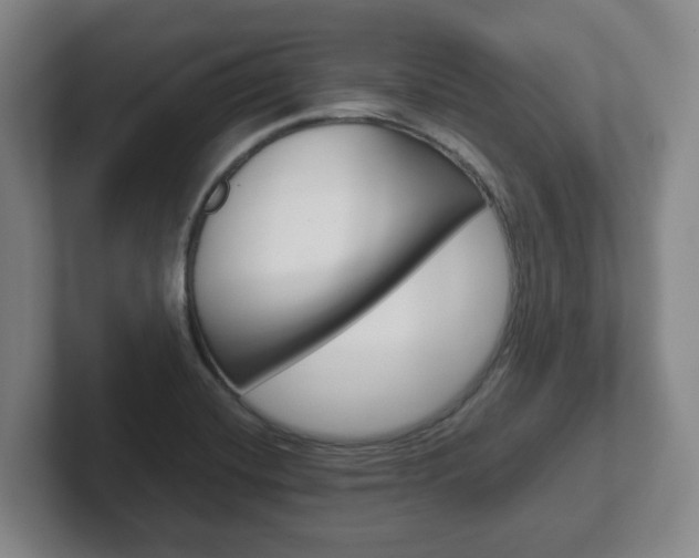 X0000102271420200807250849
