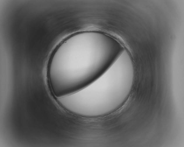 X0000102271422200807250849