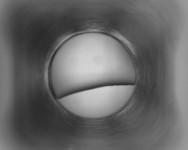 X0000102271423200807250849