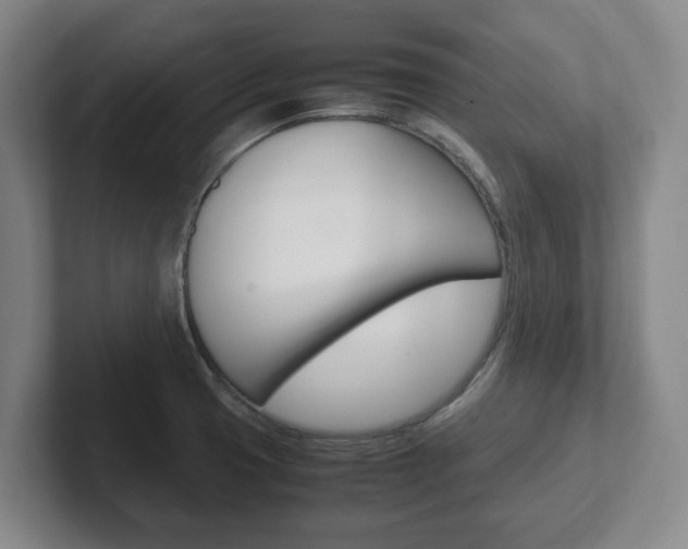 X0000102271425200807250849