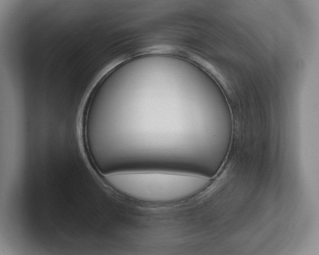 X0000102271426200807250849