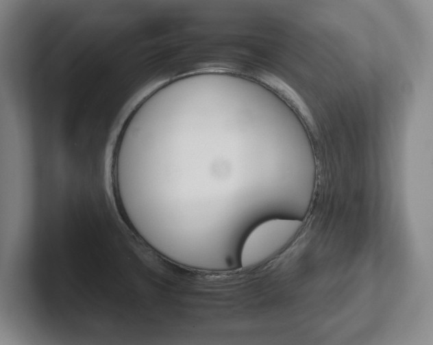 X0000102271427200807250849
