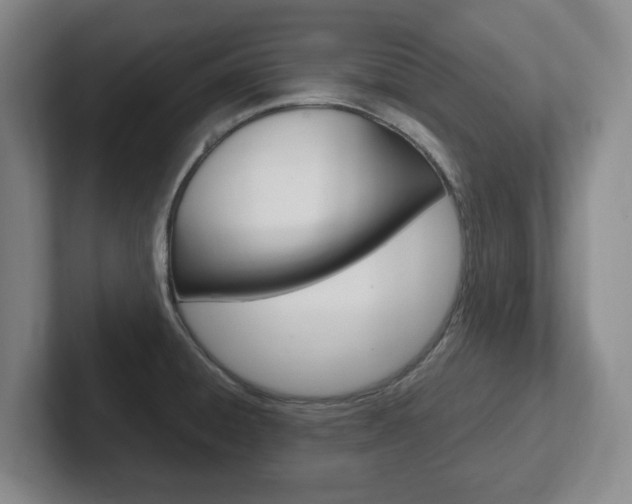 X0000102271428200807250849