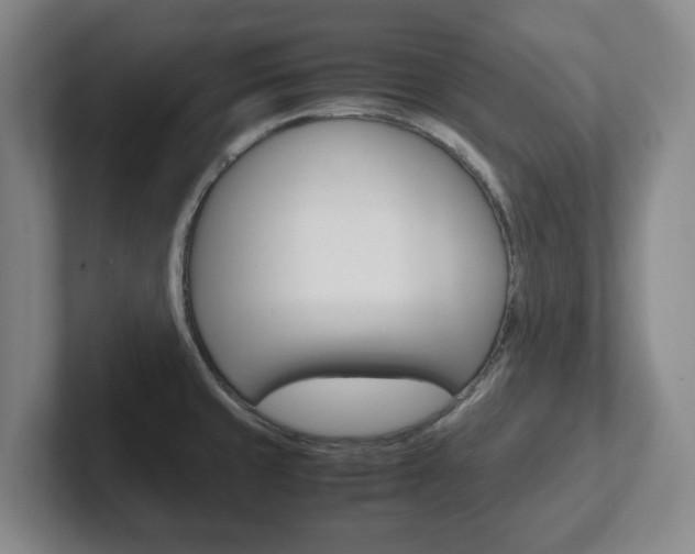 X0000102271429200807250849