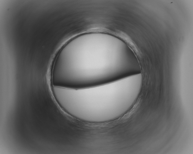 X0000102271430200807250849