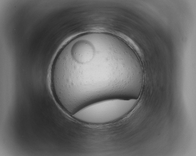 X0000102271432200807250849