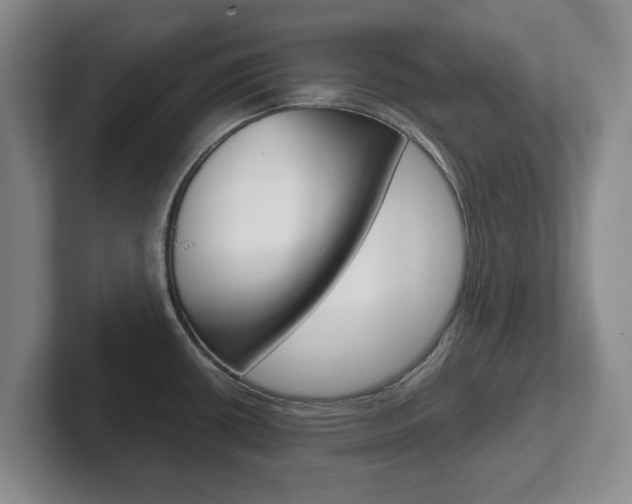 X0000102271434200807250849
