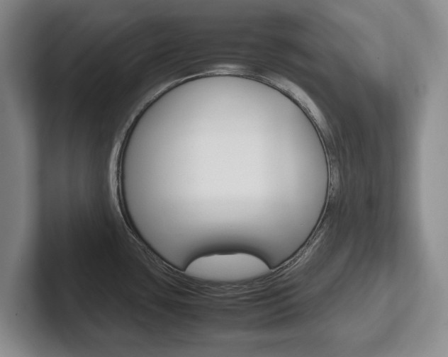 X0000102271435200807250849