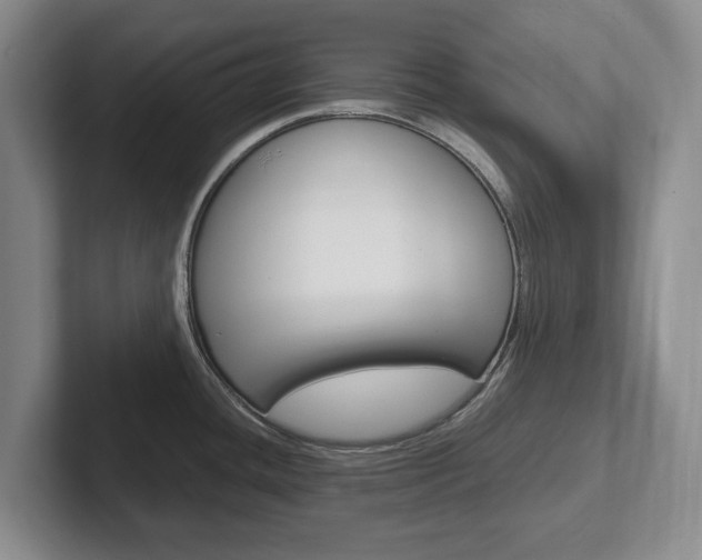 X0000102271436200807250849