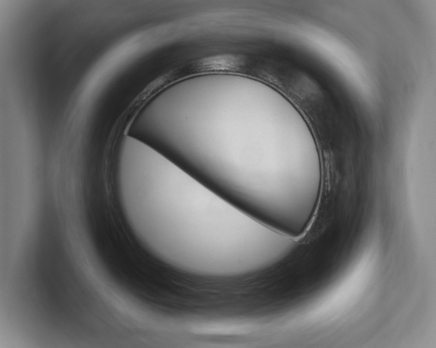 X0000102271438200807250849