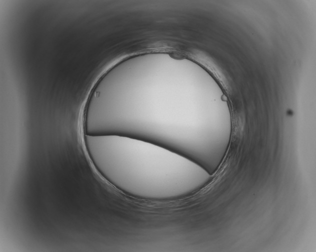 X0000102271439200807250849