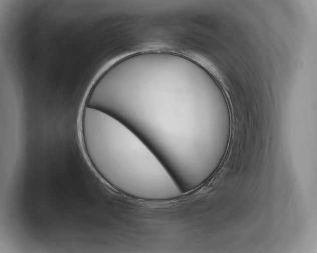 X0000102271440200807250849
