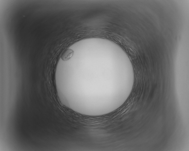 X0000102271441200807250848
