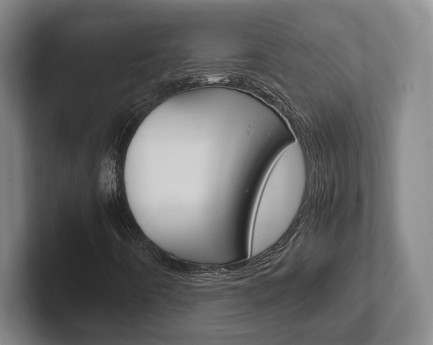 X0000102271442200807250848