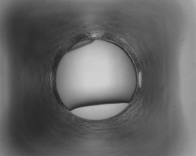 X0000102271443200807250848