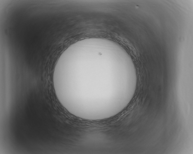 X0000102271445200807250848