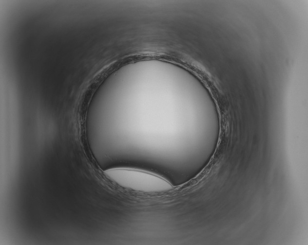 X0000102271448200807250848