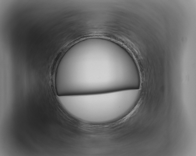 X0000102271449200807250848