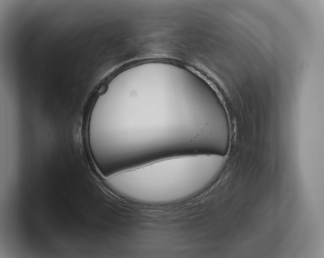 X0000102271452200807250848