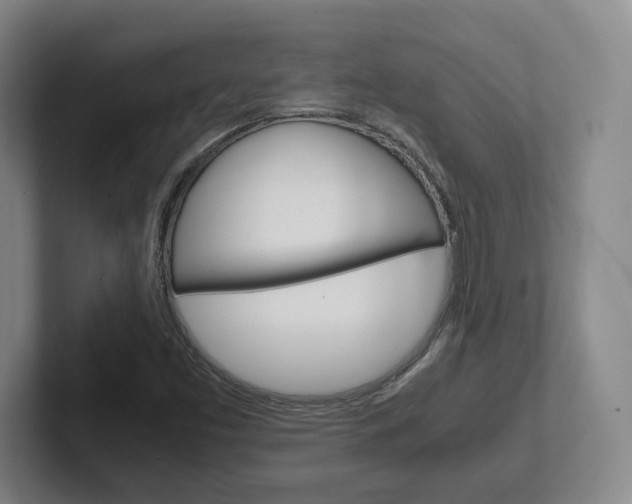 X0000102271453200807250848