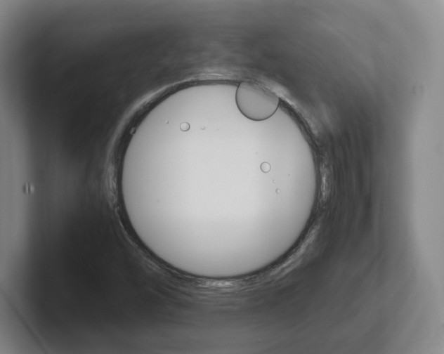 X0000102271454200807250848
