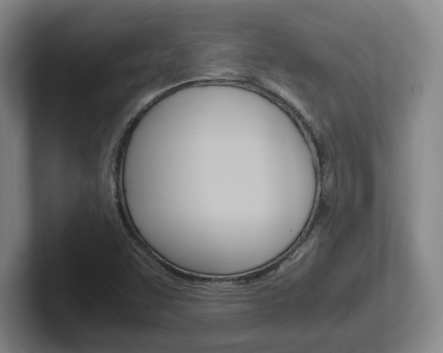 X0000102271455200807250848