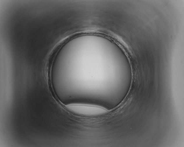 X0000102271456200807250848
