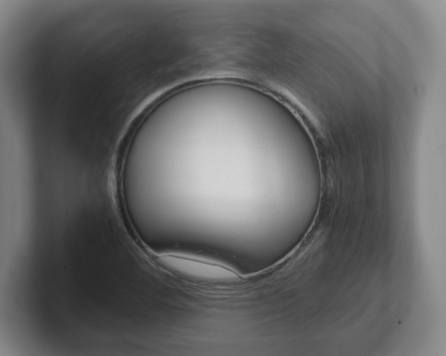 X0000102271460200807250848