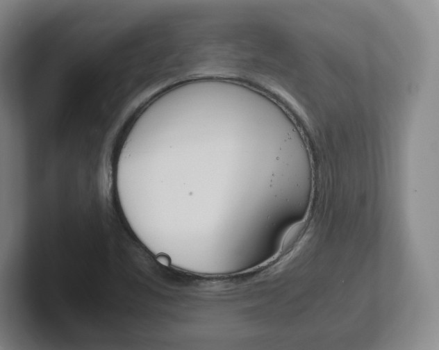 X0000102271461200807250848